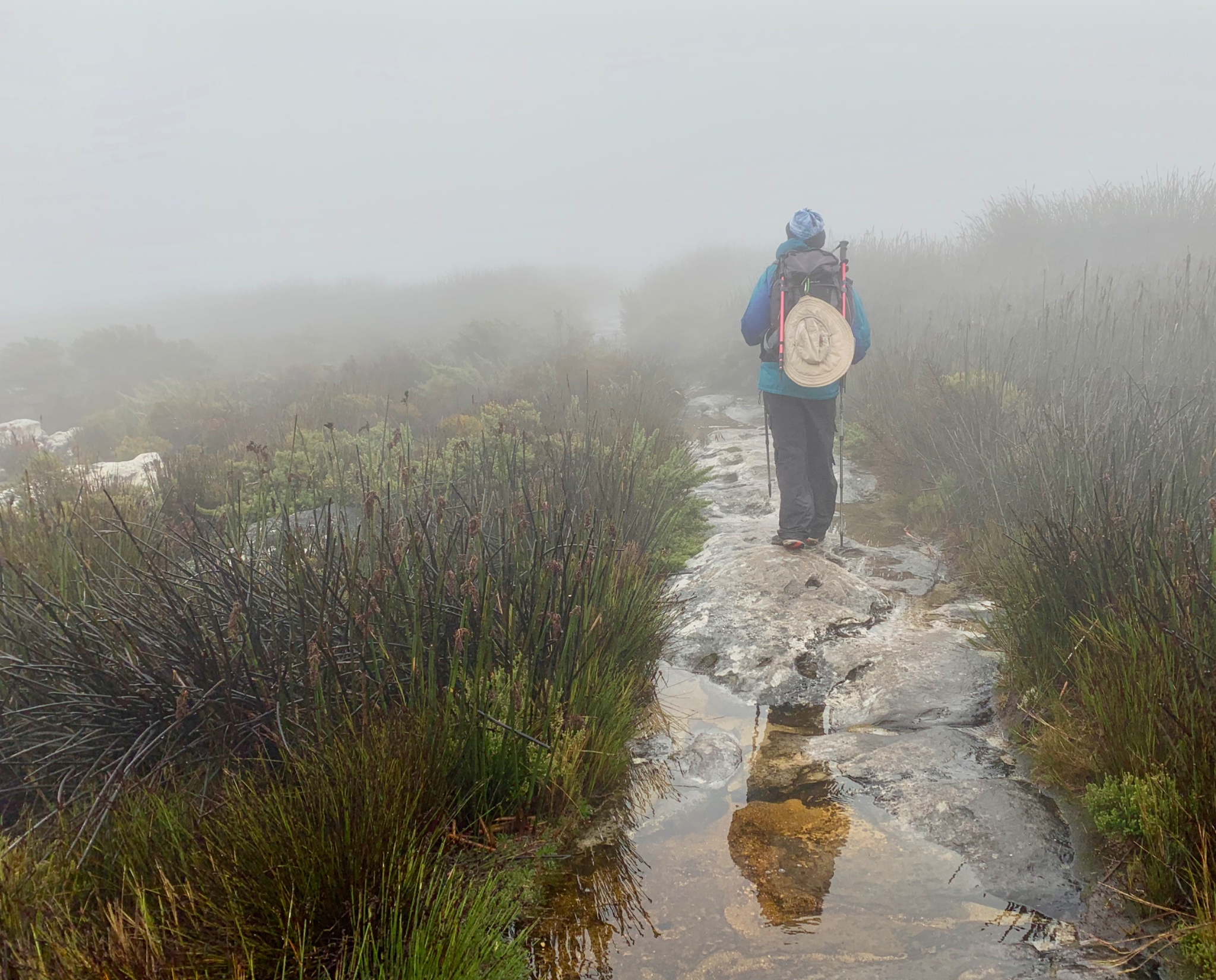 Walking on top of Table Mountain 2
